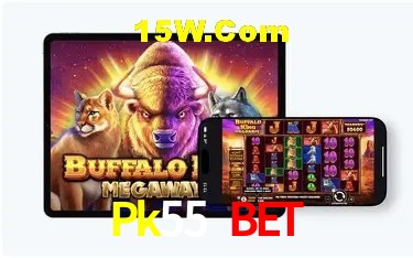 Descubra o Programa VIP da Pk55 Bet: Vantagens Exclusivas para Jogadores
